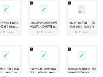 车载音乐 DJ串烧劲爆歌曲三百首